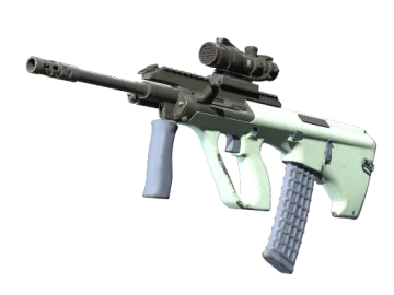 Souvenir AUG | Storm (Well-Worn)