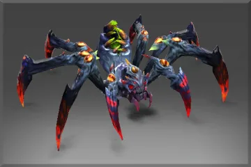 Webs of Perception Set