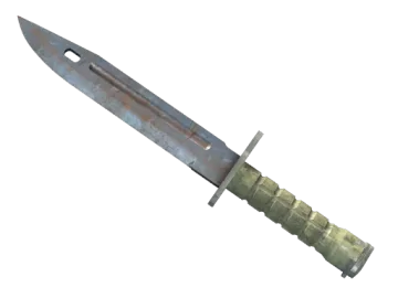 ★ Bayonet | Rust Coat (Well-Worn)