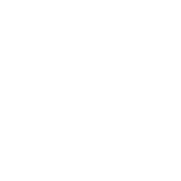 Holo Entity Team Sticker — TI 2023