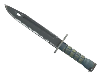 ★ Bayonet | Night (Field-Tested)