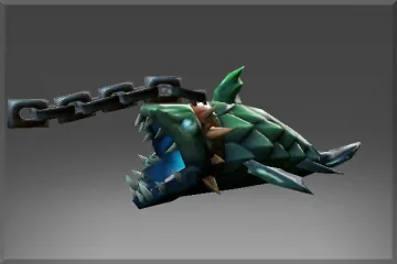 Inscribed Leashed Rockshark