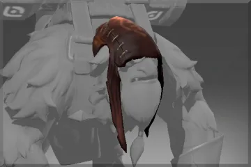 Frozen Head of the Forest Hermit