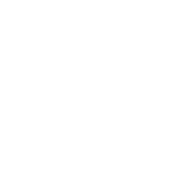 Holo Team Spirit Team Sticker — TI 2026 Champion