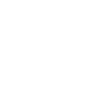 Team Spirit Team Sticker - TI 2025