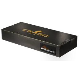 DreamHack 2013 Souvenir Package