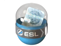 EMS Katowice 2014 Challengers