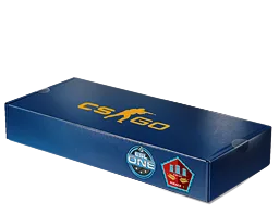 ESL One Cologne 2014 Mirage Souvenir Package