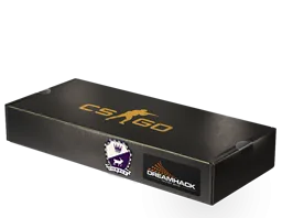 DreamHack 2014 Cobblestone Souvenir Package