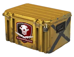 Falchion Case