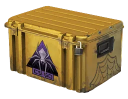 Shattered Web Case