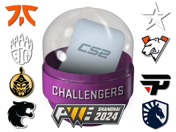Shanghai 2024 Challengers Sticker Capsule