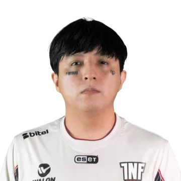 Affliction Player Sticker — TI 2022