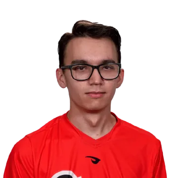 Husky Player Sticker - TI 2022