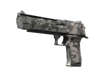 Souvenir Desert Eagle | Urban Rubble (Factory New)