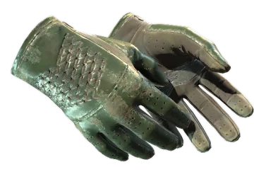 ★ Driver Gloves | Racing Green (Battle-Scarred)