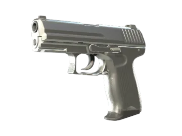 P2000 | Silver (Minimal Wear)