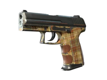 P2000 | Coach Class (Battle-Scarred)
