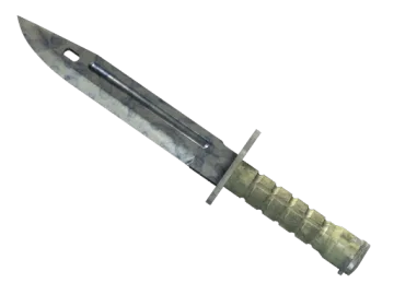 ★ Bayonet | Stained (Field-Tested)