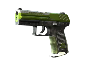 P2000 | Turf (Well-Worn)