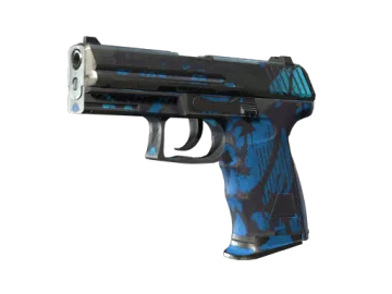 P2000 | Oceanic (Battle-Scarred)