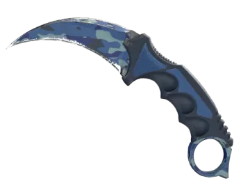 ★ StatTrak™ Karambit | Bright Water (Field-Tested)