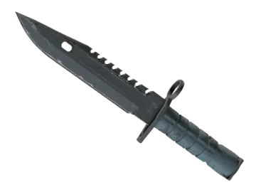 ★ StatTrak™ M9 Bayonet | Night (Well-Worn)