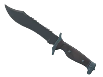 ★ Bowie Knife | Night (Factory New)
