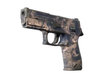 Souvenir P250 | Drought (Well-Worn)