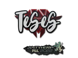 Sticker | TeSeS | Antwerp 2022