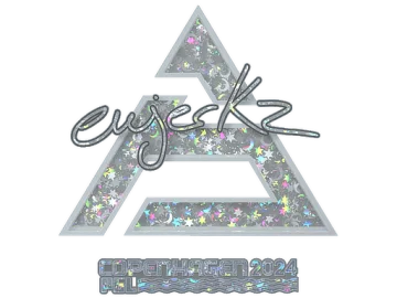 Sticker | ewjerkz (Glitter) | Copenhagen 2024