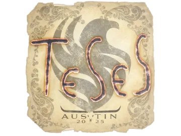 Sticker | TeSeS | Austin 2025