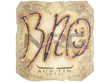 Sticker | br0 | Austin 2025