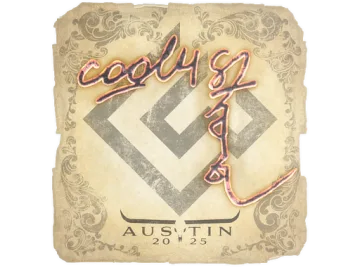 Sticker | cool4st | Austin 2025