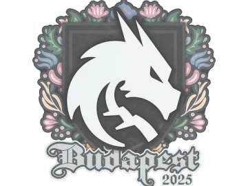 Sticker | Team Spirit | Budapest 2025