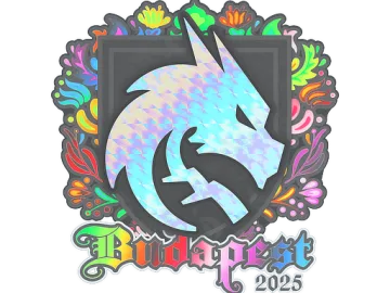Sticker | Team Spirit (Holo) | Budapest 2025