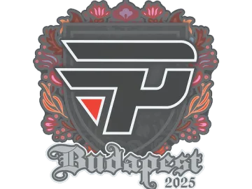 Sticker | paiN Gaming | Budapest 2025