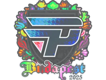 Sticker | paiN Gaming (Holo) | Budapest 2025