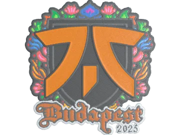 Sticker | fnatic (Embroidered) | Budapest 2025