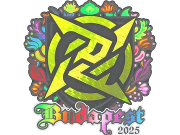 Sticker | Ninjas in Pyjamas (Holo) | Budapest 2025