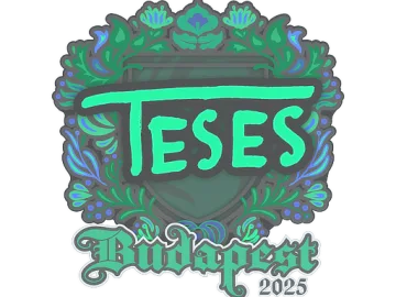 Sticker | TeSeS | Budapest 2025
