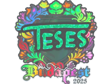 Sticker | TeSeS (Holo) | Budapest 2025