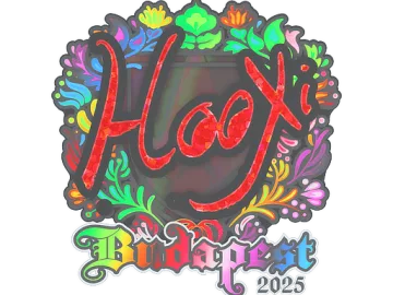 Sticker | HooXi (Holo) | Budapest 2025