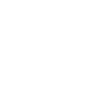Holo Team Secret Team Sticker — TI 2022