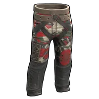Checkpoint Pants