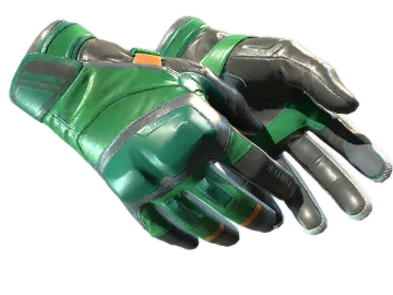 ★ Moto Gloves | Turtle (Minimal Wear)