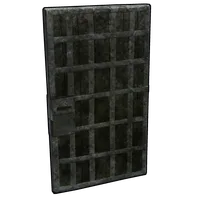 Prison Door