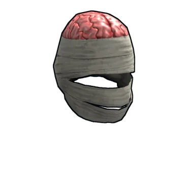 Wrapped Brain