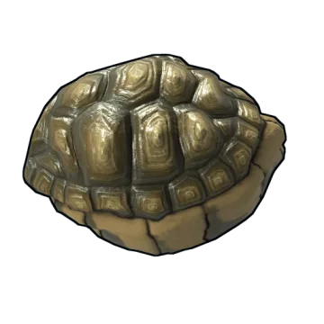 Tortoise Rock