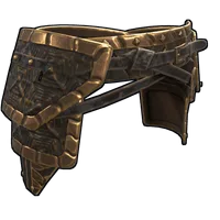 Snap Turtle Pants